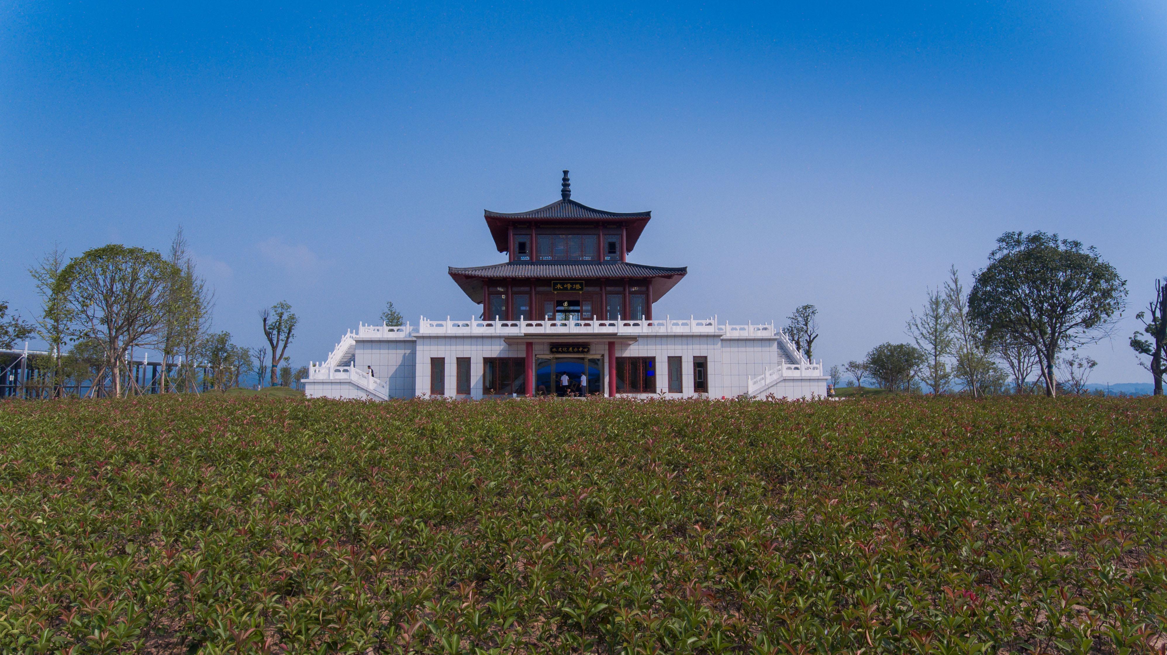 1568011304714026.jpg 1568011304714026.jpg