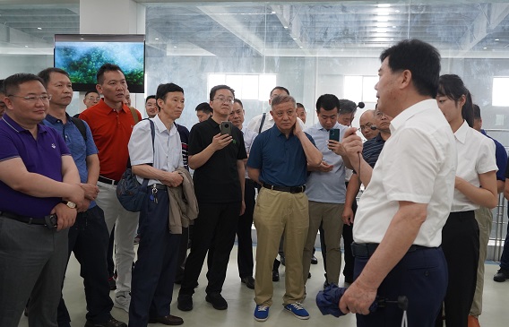 1593405075251495.jpg DSC06499.jpg